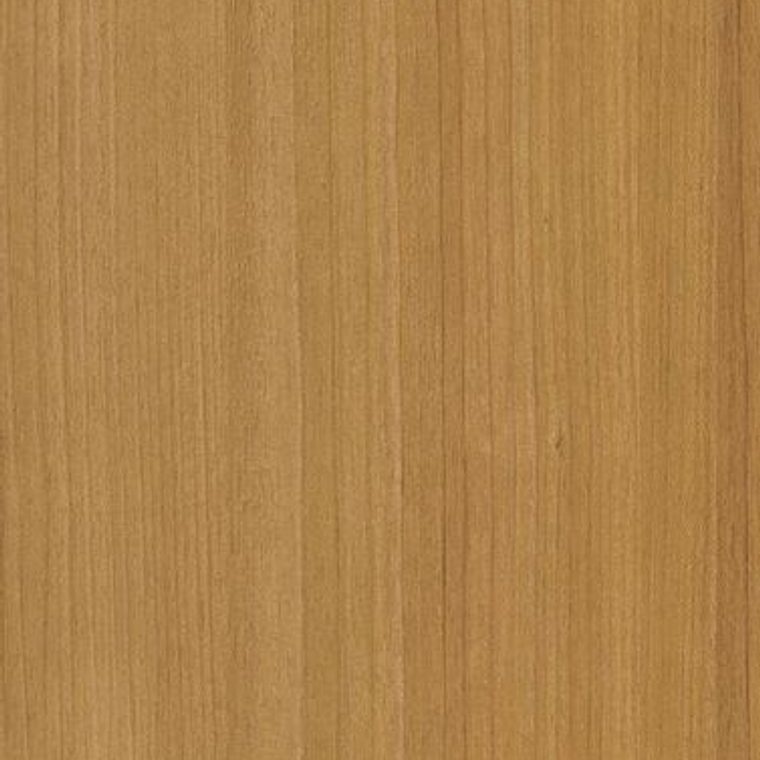 CT22 Medium
