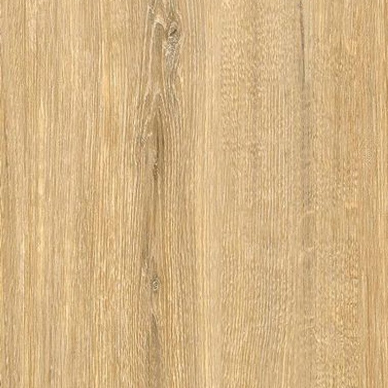 CT82 Light