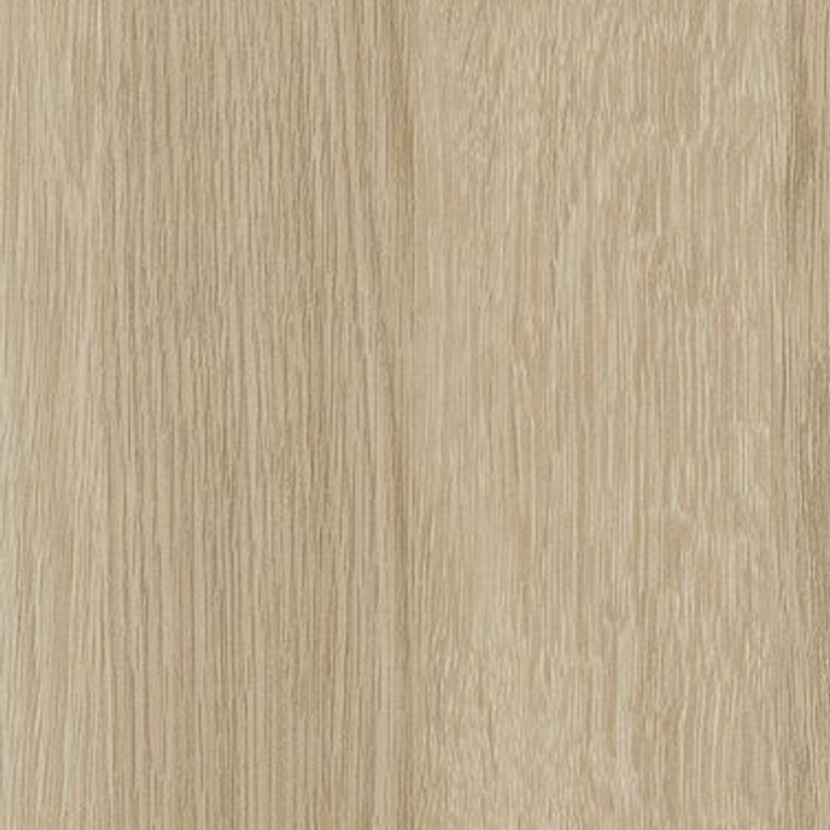 NE61 Light