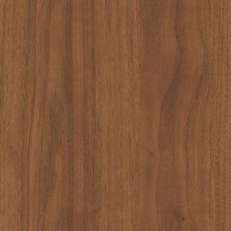 NE62 Dark