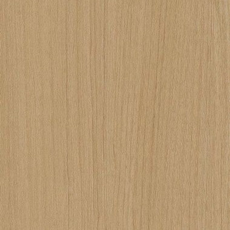NE65 Light