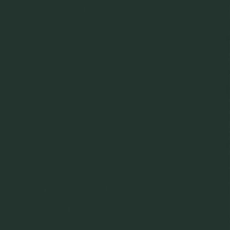 NF13 Silk