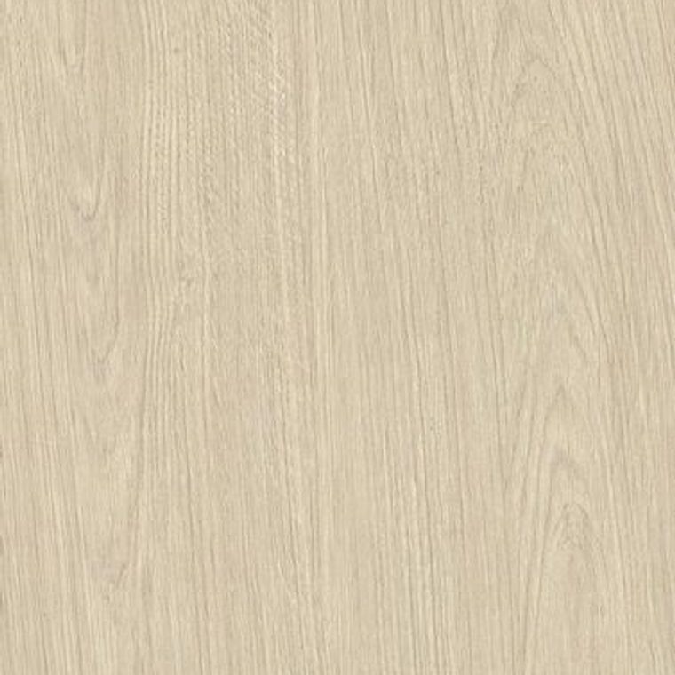 NF36 Light