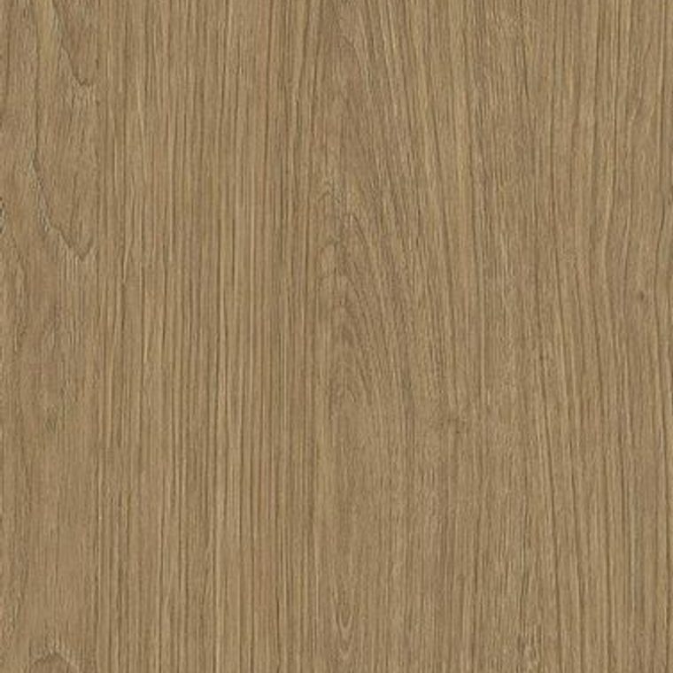 NF37 Medium
