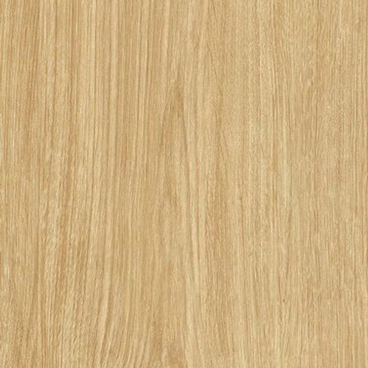 NF40 Light