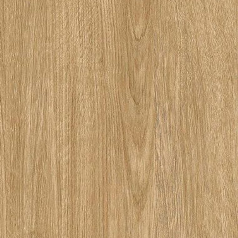 NF41 Light