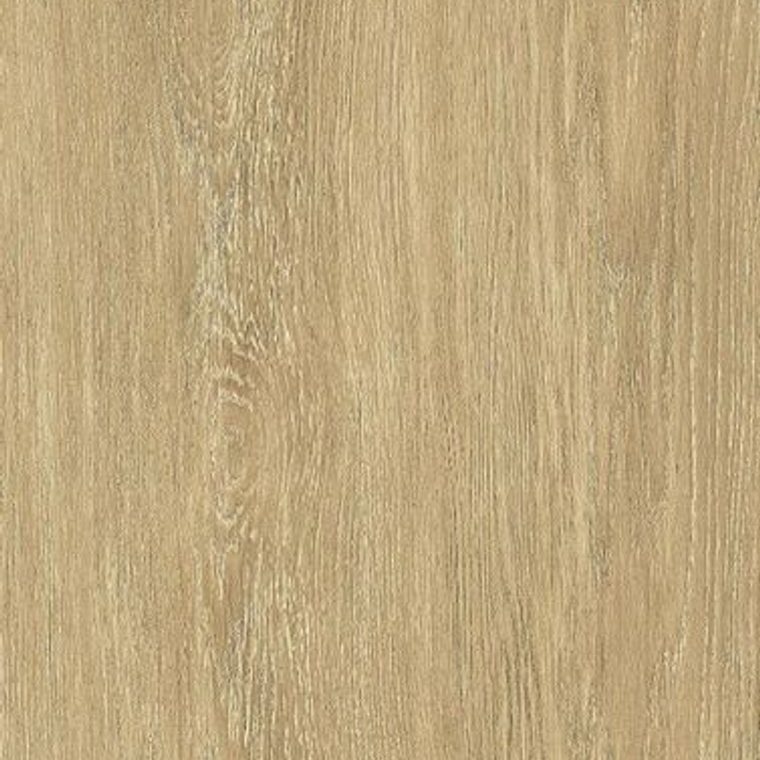 NF42 Medium