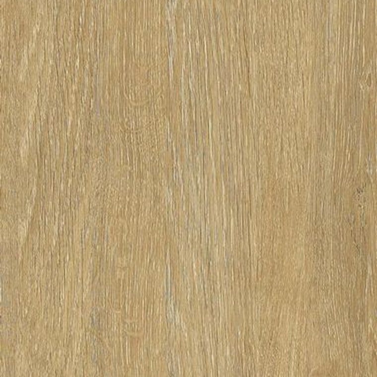 NF45 Medium
