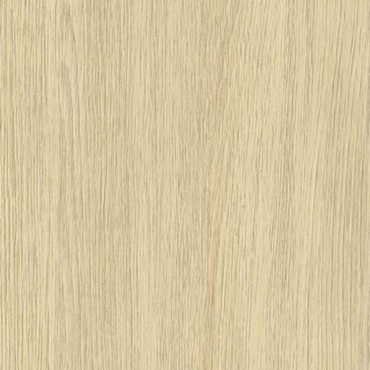 NF53 Light