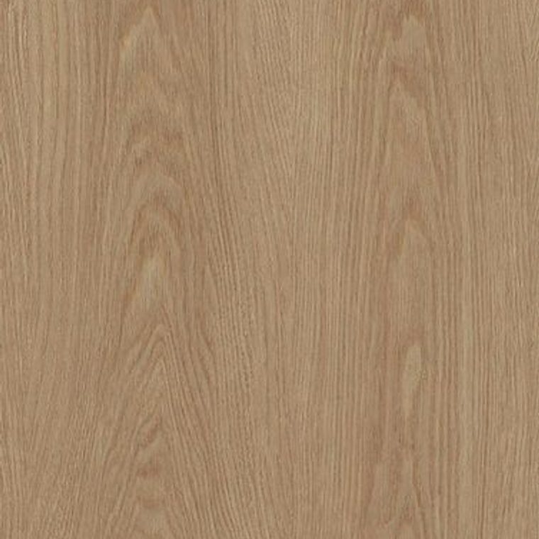 NF57 Light