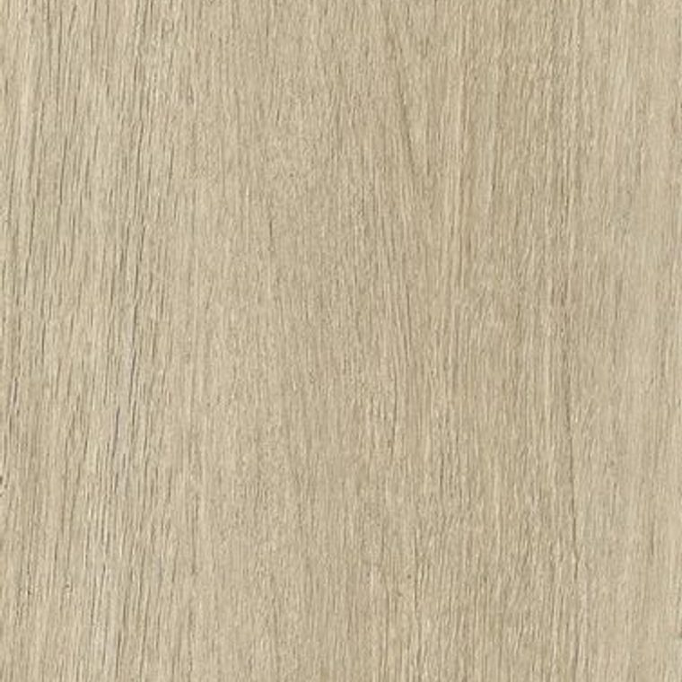 NF62 Light