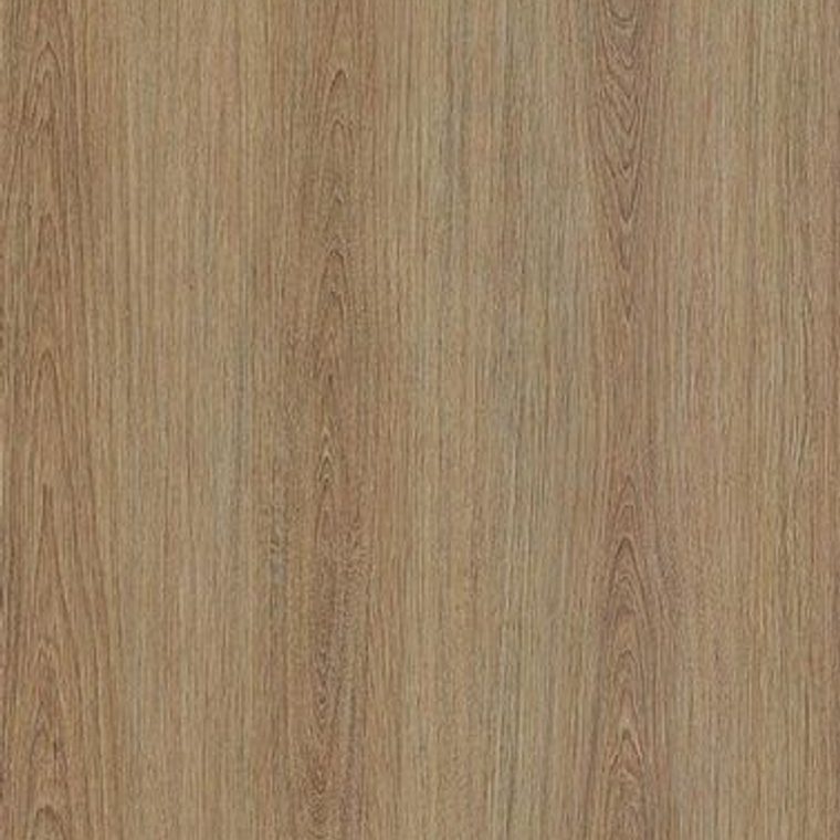 NF66 Light